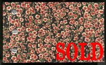 blackasianfloraljournal_thumbnail.jpg (17398 bytes)