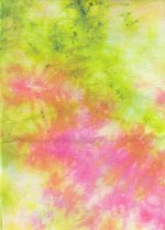 dye09_thumbnail.jpg (8034 bytes)